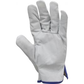 Gants de maitrise tout cuir fleur de bovin T8 